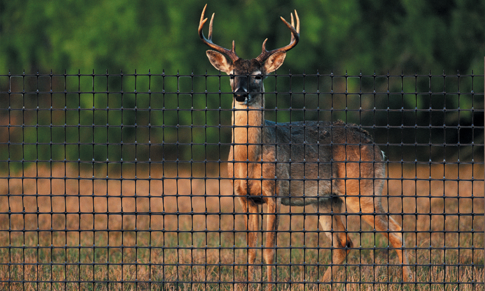 DTenax Deer Netting