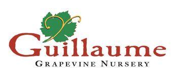 Guillaume Grapevine Nursery Logo
