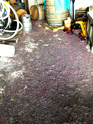 red hook winery hurricane sandy