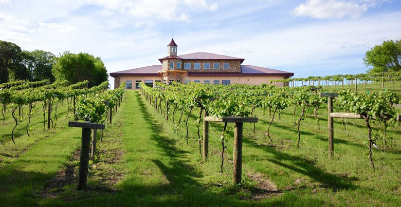 wine grape vineyard name TTB Chisago