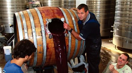 Winemaking, red wine barrel fermentation