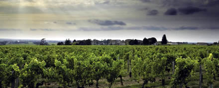 Wineries and the Recession