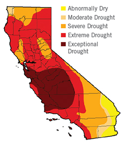 CA drought map