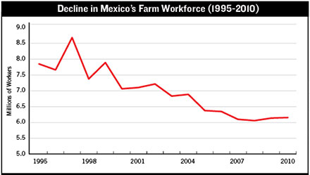 Mexico labor decline